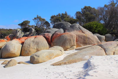 Rocks on shore against sky