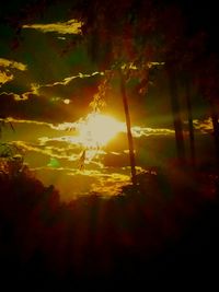 Scenic view of trees against sky during sunset