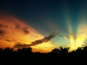 Silhouette trees against dramatic sky during sunset