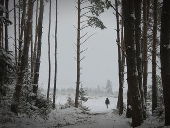 Man standing amidst trees in forest during winter