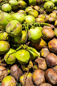 Full frame shot of onions