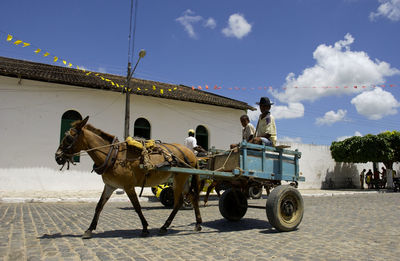 Horse cart