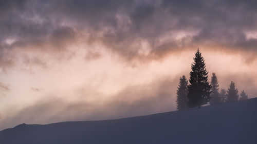 Low angle view of silhouette tree against sky during sunset