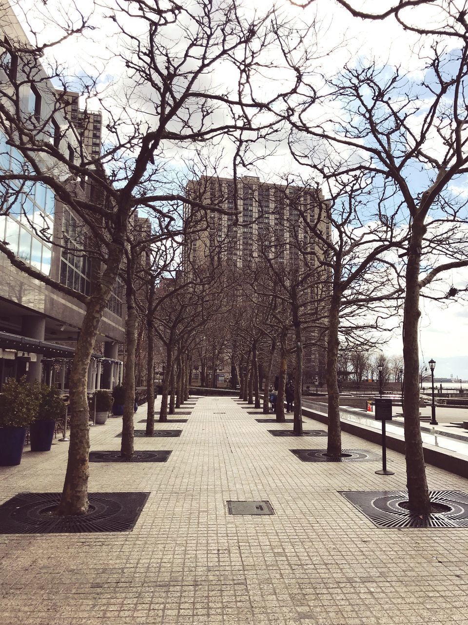 BARE TREES AND BUILDINGS AGAINST SKY