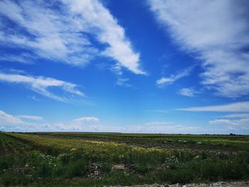 Scenic view of field against sky