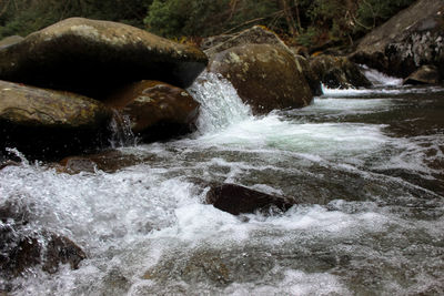 Scenic view of waterfall