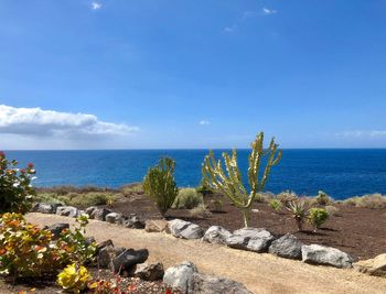 Scenic view of sea against sky