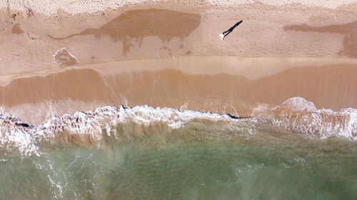 View of birds in sea