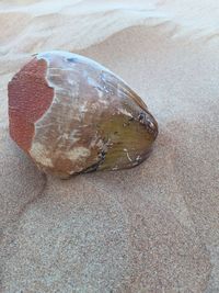 Close-up of sand on beach