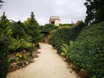 Footpath amidst plants in garden against sky