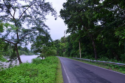 Road amidst trees against sky