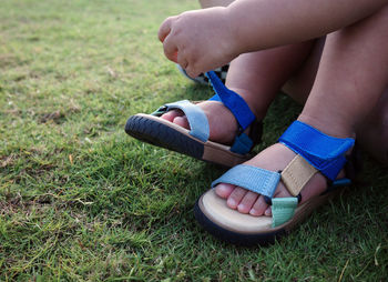 grass