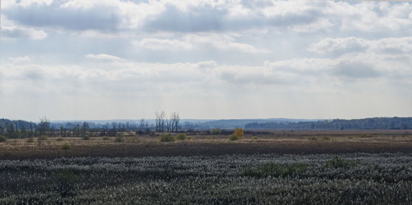 Scenic view of land against sky