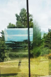 Trees on field against sky seen through glass window