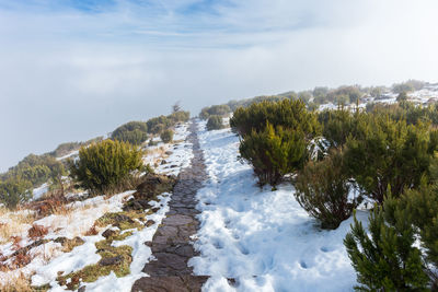 Overview of pico ruivo footpath covered with snow in santana, madeira island