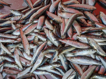 Full frame shot of fish for sale in market
