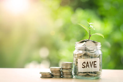 Close-up of coins and sapling in jar on table