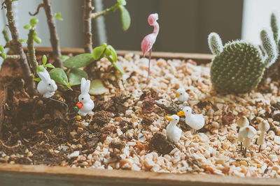 Close-up of figurines and pebbles in window box