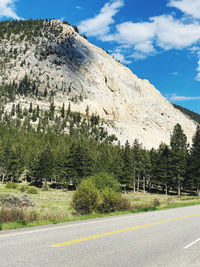 Scenic view of road by trees against sky