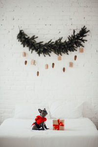 High angle view of christmas decorations on bed