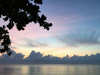 Scenic view of silhouette trees against sky during sunset