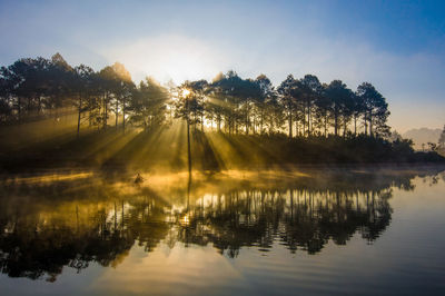 Trees by lake against sky during sunset