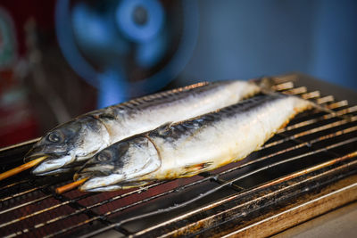 Close-up of fish on barbecue grill