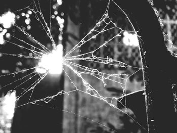 Close-up of spider web