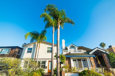 Low angle view of palm tree and building against sky