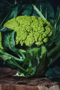 Close-up of green vegetables