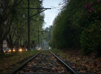 Railroad tracks amidst trees against sky