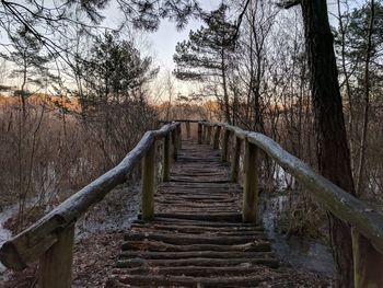 Footbridge amidst trees in forest against sky