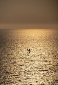 Silhouette man in sea against sky during sunset