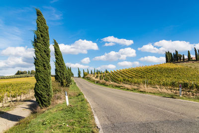 Panoramic view of road amidst field against sky