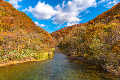 Scenic view of river amidst trees against sky during autumn