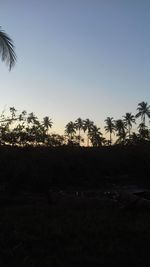 Scenic view of silhouette trees against clear sky