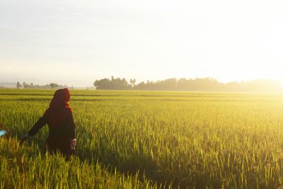 Scenic view of grassy field against sky during sunset