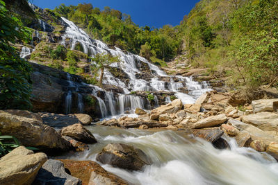 Scenic view of waterfall in forest