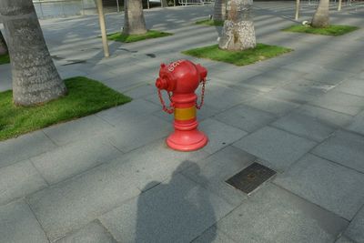 Red fire hydrant in grass