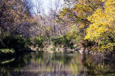 Reflection of trees in lake
