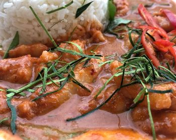 Close-up of food served in plate
