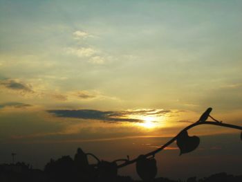 Silhouette trees against sky during sunset