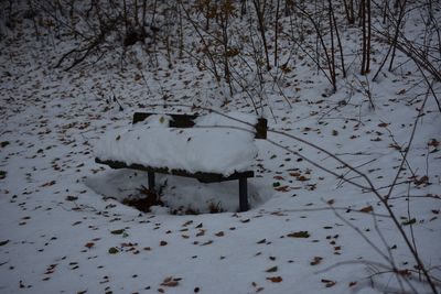 Scenic view of snow covered landscape