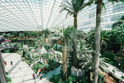 Plants growing in greenhouse