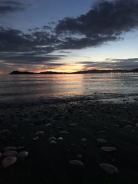 Scenic view of beach against sky during sunset