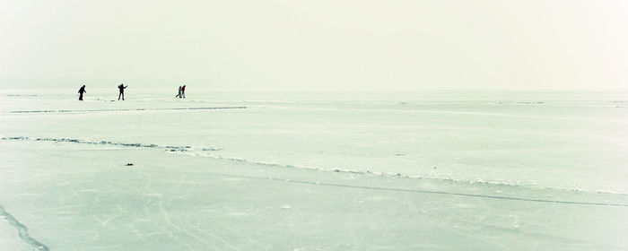 People on beach against clear sky