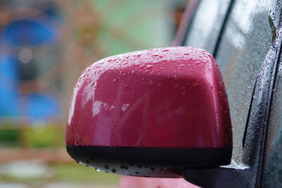 Close-up of wet red fruit