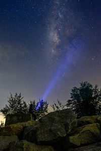 Low angle view of trees against sky at night