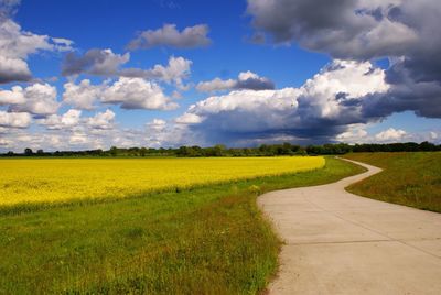 Scenic view of agricultural field against sky
