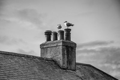 Low angle view of statue of liberty